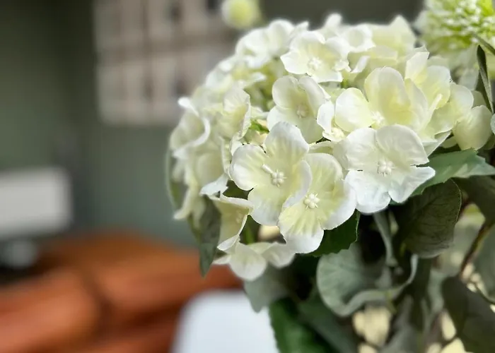 Stadtoase Gothestrasse Apartmán Merseburg